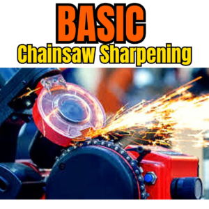 Chainsaw Chain Sharpening — Quick-Cut (Basic)
